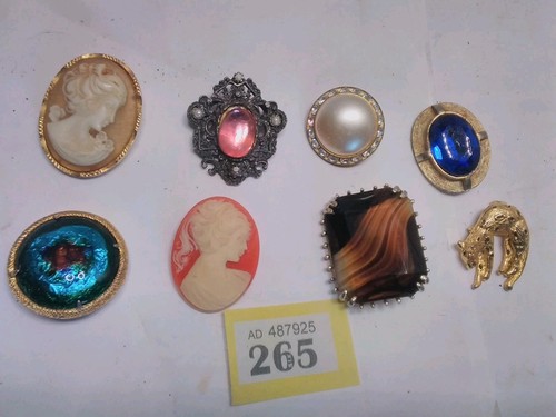 Costume jewellery brooches - costume,