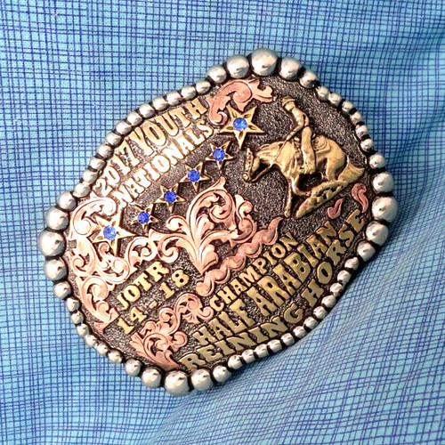 Half arabian reining - arabian,