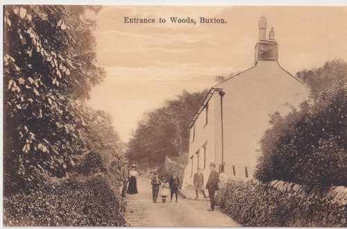Postcard c1905 entrance to - postcard,