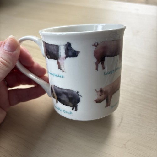 Pigs mug from the leonardo - pigs,