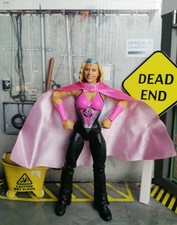 WWE Elite Legends Series 16