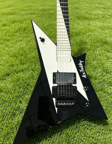 Warehouse washburn ace - us,
