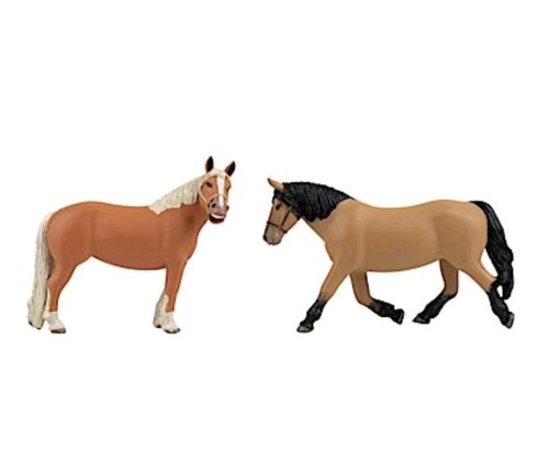 Pola 331552 horses - pola,