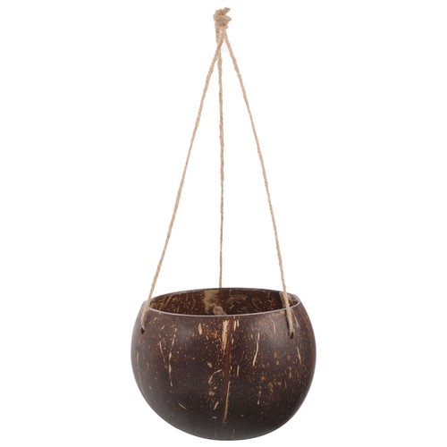 Coconut shell hanging flower - ,