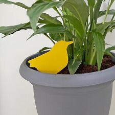 Tildenet Sticky Fruit Fly Gnat Trap Catcher House Plant Indoor Gardening 10 Pack