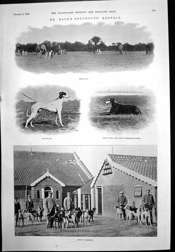 Antique print hale - antique, hale's