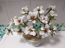 Chinese Bonsai with white flowers in Celadon Pot