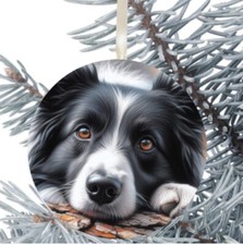 Border Collie Dog Hanging
