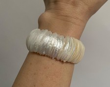 White Mother of Pearl Nautilus