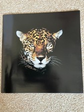 Jaguar cars marketing brochure