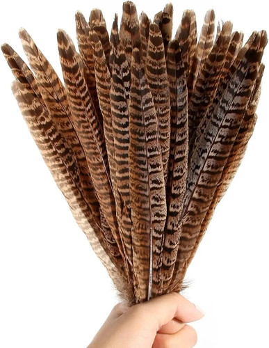 10pcs natural pheasant tail - 10pcs,