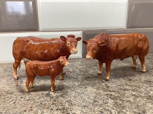 Border fine arts - arts, bull