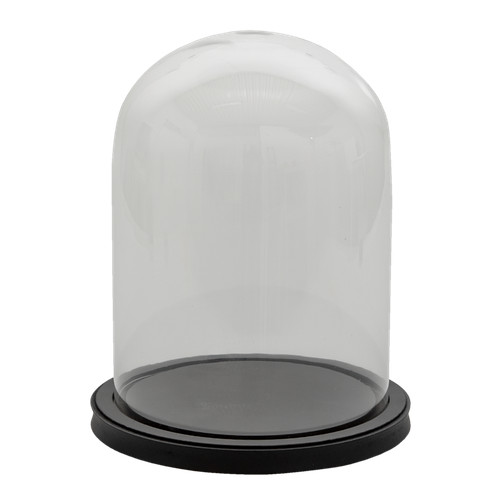 Glass display cloche - glass, jar