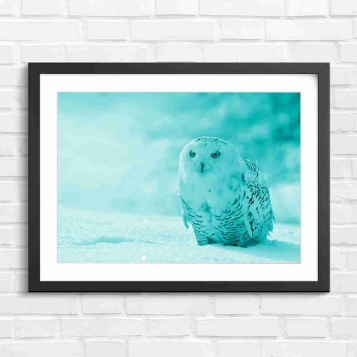 Wispy white owl with bright - wispy,