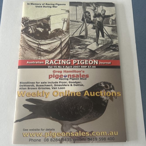 Australian racing pigeon - australian,