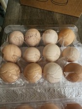 6 Barred Plymouth Rock Fertile