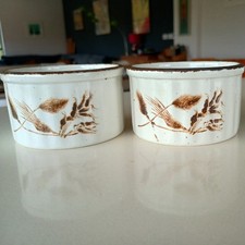 2 Midwinter Stonehenge Wild