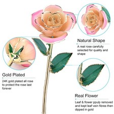 Pink White 24k Gift Gold Rose