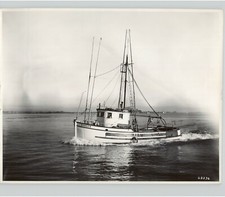 Fishing Boat RANGER CAT Diesel