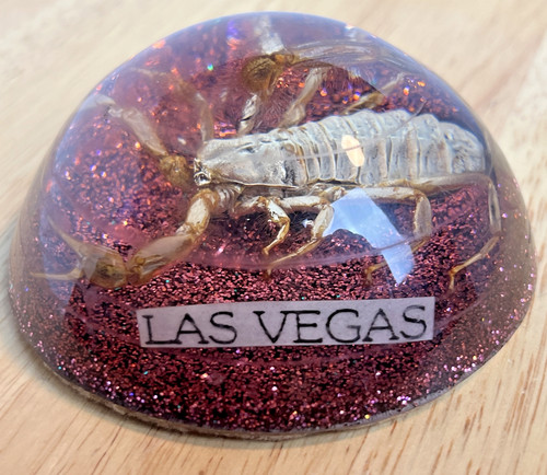 Vintage las vegas paperweight - las,