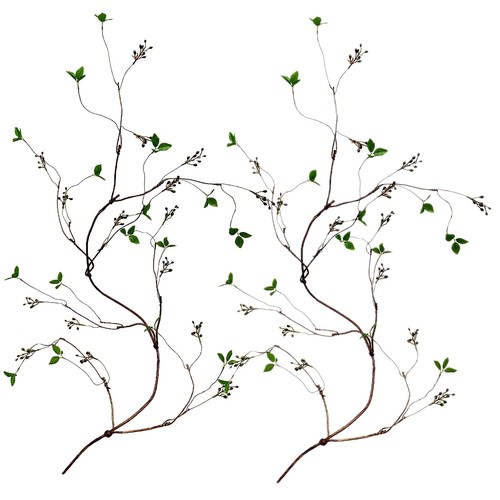 Curly willow branches - willow,