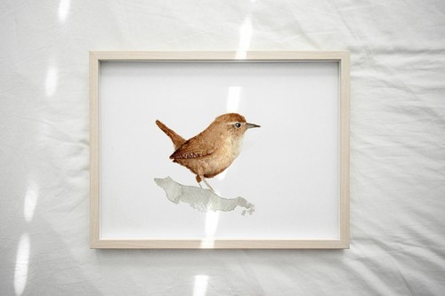 Wren original watercolour - wren,