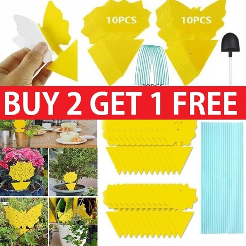 41x yellow sticky traps - sticky, for