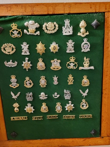 Military badges set various - badges,