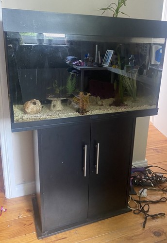Large fish tank used - tank,
