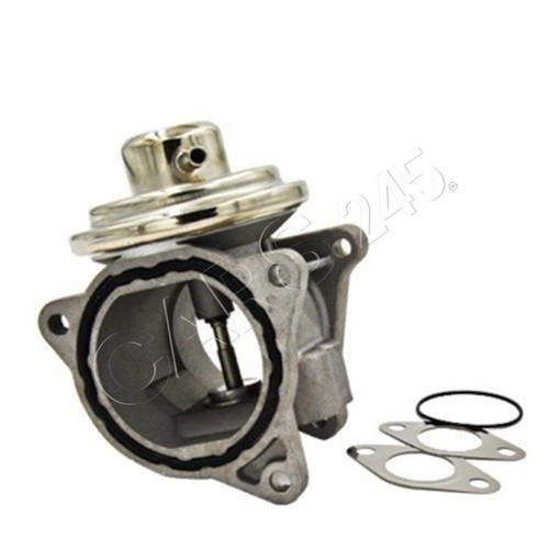 Egr valve exhaust - egr,