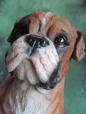 28cm high resin model BOXER PUP