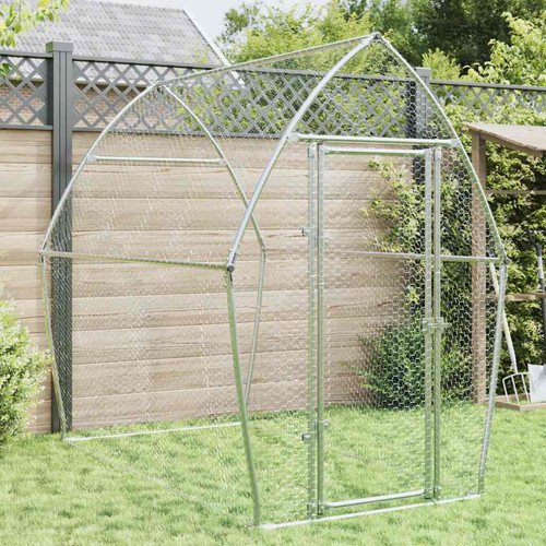 Chicken coop walk - chicken,