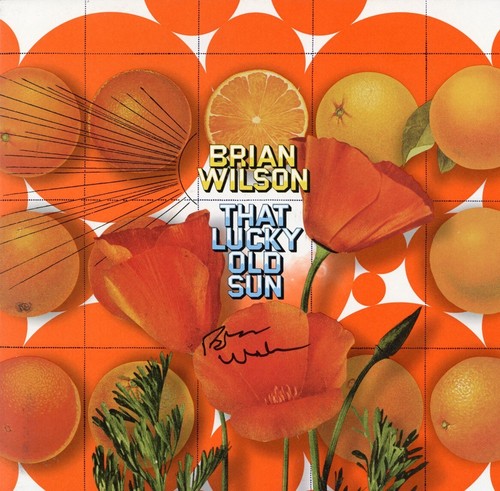 Brian wilson the - brian, beach