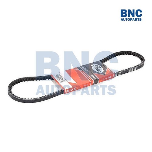 Alternator drive belt - (fan),
