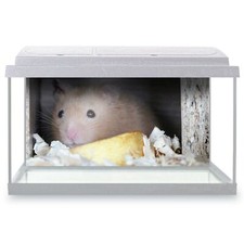 Fish Tank Background 90x45cm -