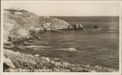 Real photo lizard - photo, lifeboat
