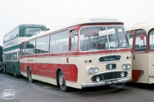 Coach Photo - Dack Terrington