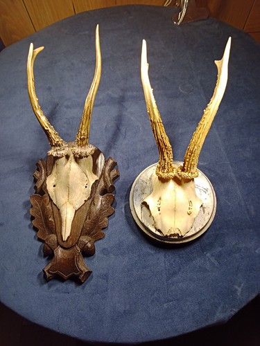Two vintage deer - vintage,