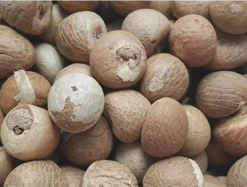 100 organic areca - dried, nuts