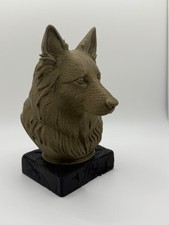 Long Haired German Shepherd