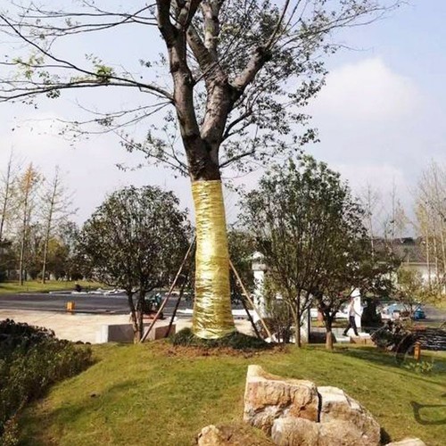 Breathable fabric tree wrap - breathable,