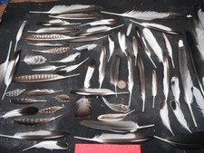 job lot of beach combing