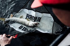 Rapala Fishing Fish Weigh and
