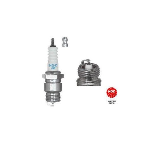 2922 ngk spark plug for - 2922,