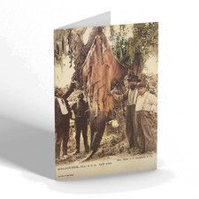 NOTELET - Vintage Florida USA