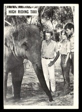 1966 Philadelphia Daktari #49