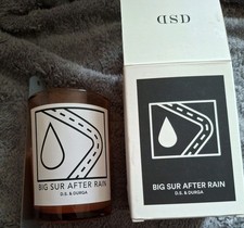 D.S. & DURGA Candle Big Sur After Rain Candle 198g ***USED***