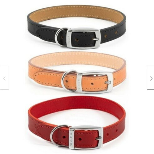 Ancol dog puppy leather collar - ancol,