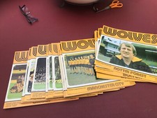 Wolverhampton Wanderers /