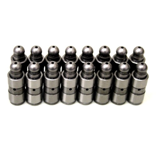 Set hydraulic lifters - hydraulic,